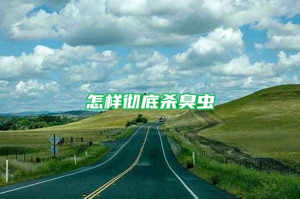 怎樣徹底殺臭蟲(chóng)