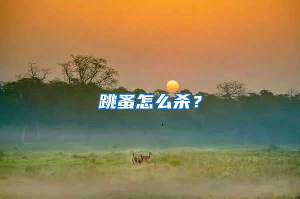 跳蚤怎么殺？