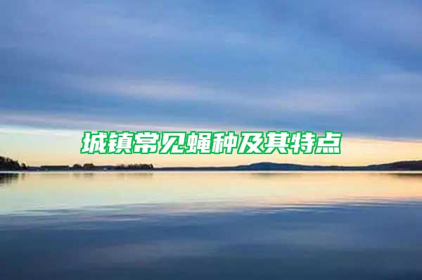 城鎮(zhèn)常見(jiàn)蠅種及其特點(diǎn)