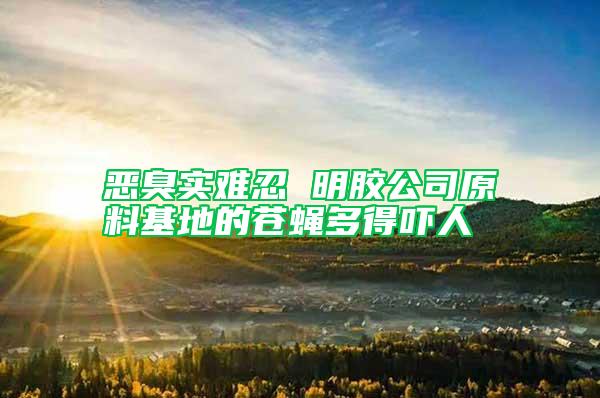 惡臭實難忍 明膠公司原料基地的蒼蠅多得嚇人