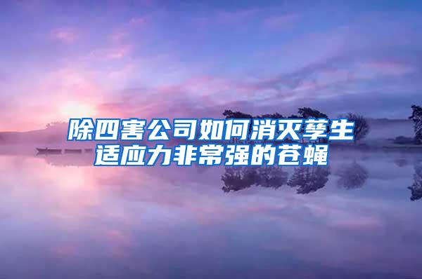 除四害公司如何消滅孳生適應(yīng)力非常強的蒼蠅