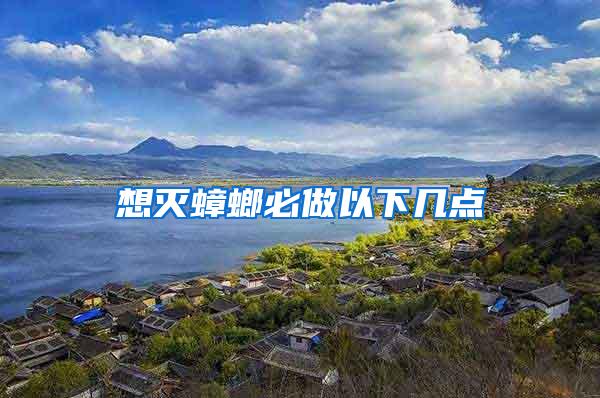 想滅蟑螂必做以下幾點