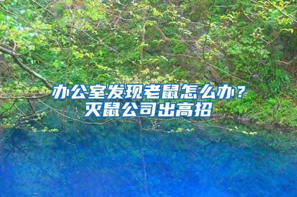 辦公室發現老鼠怎么辦？滅鼠公司出高招