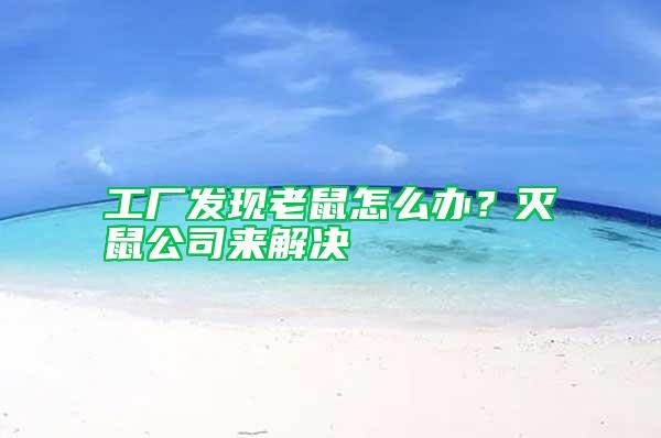 工廠發現老鼠怎么辦？滅鼠公司來解決