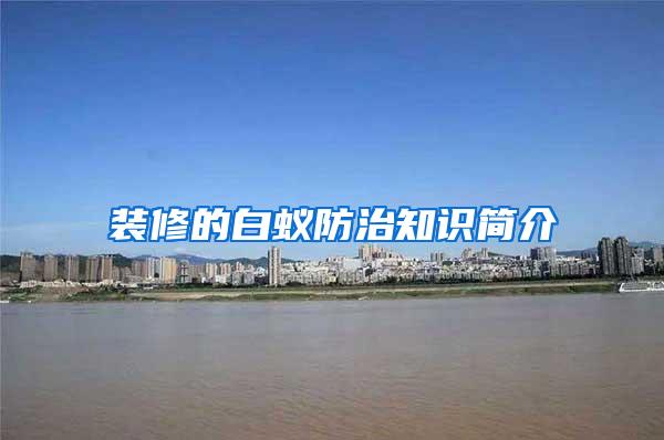裝修的白蟻防治知識簡介