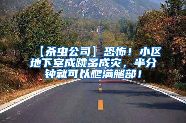 【殺蟲公司】恐怖！小區地下室成跳蚤成災，半分鐘就可以爬滿腿部！