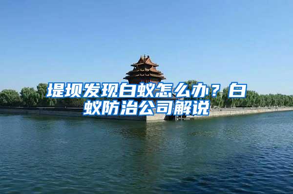 堤壩發(fā)現(xiàn)白蟻怎么辦？白蟻防治公司解說(shuō)
