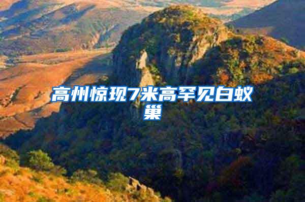 高州驚現7米高罕見白蟻巢