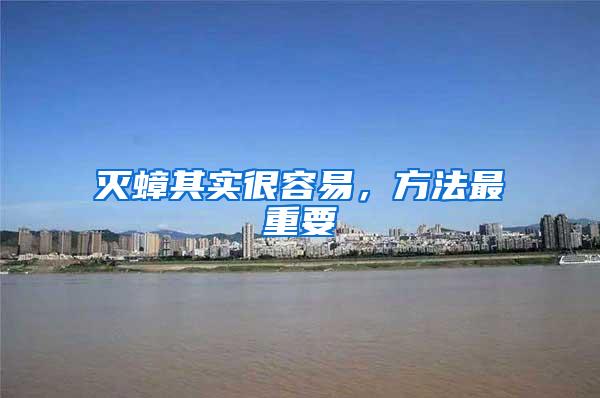 滅蟑其實很容易，方法最重要
