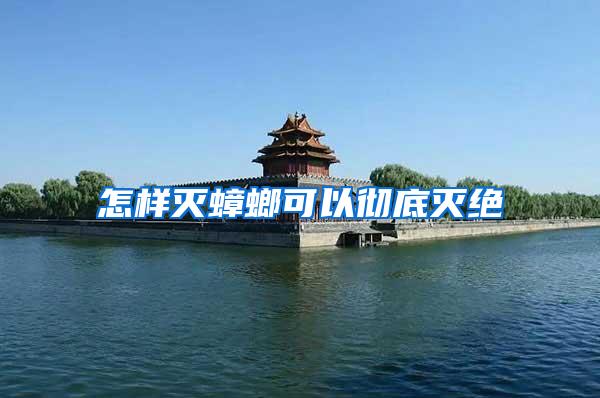 怎樣滅蟑螂可以徹底滅絕