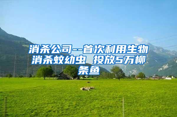 消殺公司--首次利用生物消殺蚊幼蟲 投放5萬柳條魚