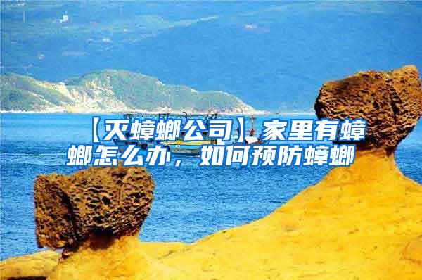 【滅蟑螂公司】家里有蟑螂怎么辦，如何預防蟑螂