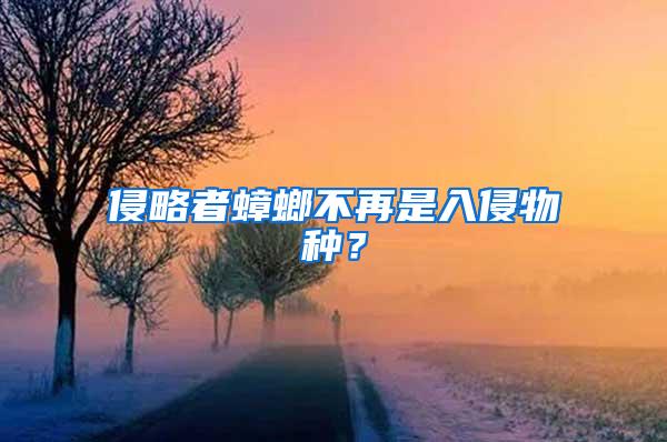 侵略者蟑螂不再是入侵物種？