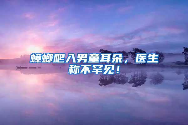 蟑螂爬入男童耳朵，醫生稱不罕見！