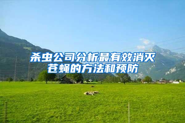 殺蟲公司分析最有效消滅蒼蠅的方法和預防