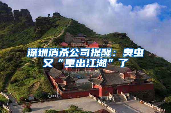 深圳消殺公司提醒：臭蟲又“重出江湖”了