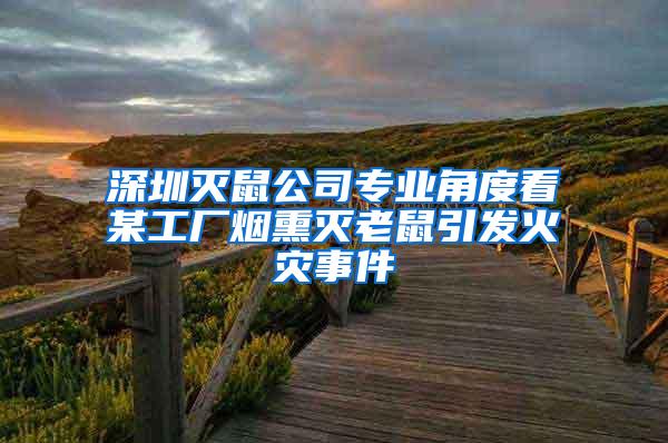 深圳滅鼠公司專業(yè)角度看某工廠煙熏滅老鼠引發(fā)火災(zāi)事件