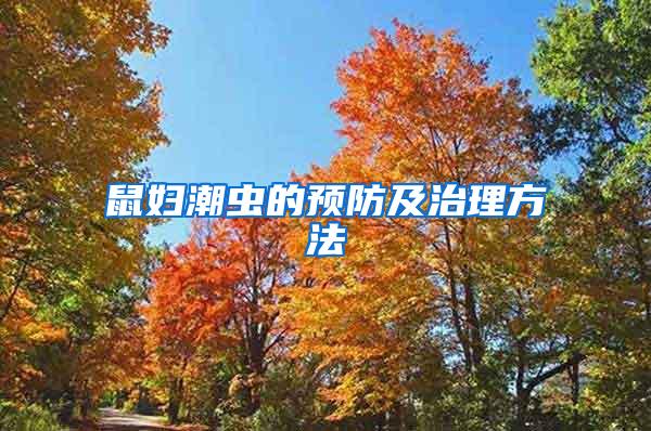 鼠婦潮蟲的預防及治理方法