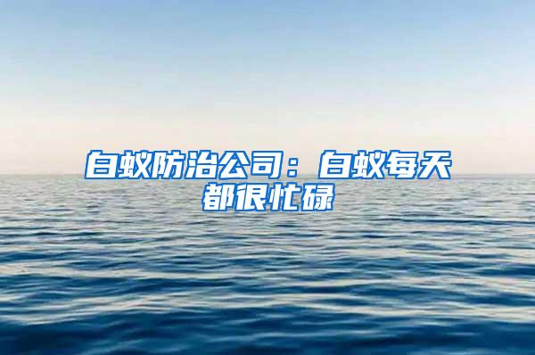 白蟻防治公司：白蟻每天都很忙碌