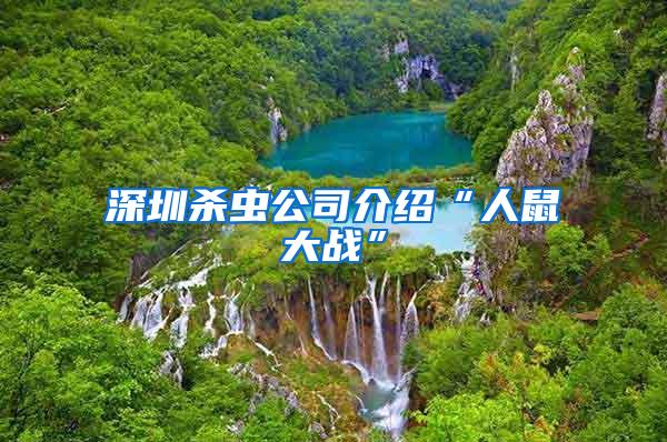 深圳殺蟲公司介紹“人鼠大戰”