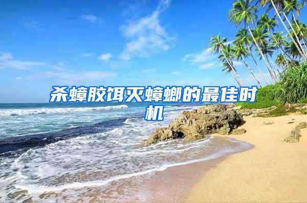 殺蟑膠餌滅蟑螂的最佳時機(jī)