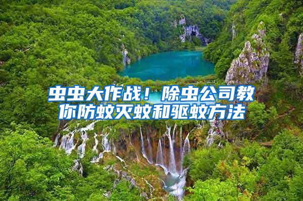 蟲蟲大作戰！除蟲公司教你防蚊滅蚊和驅蚊方法