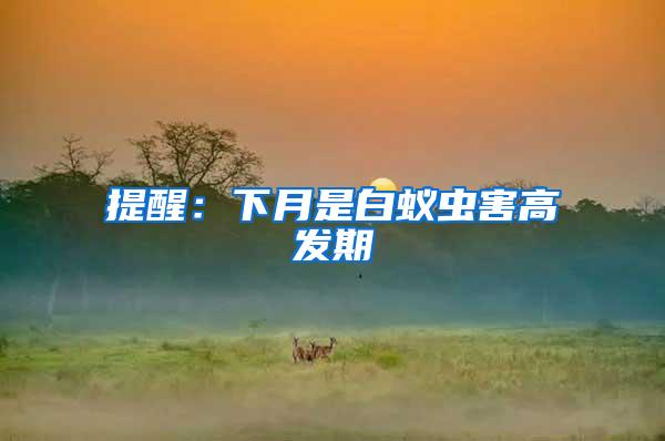 提醒：下月是白蟻蟲害高發期