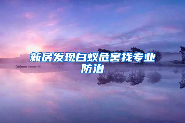 新房發現白蟻危害找專業防治