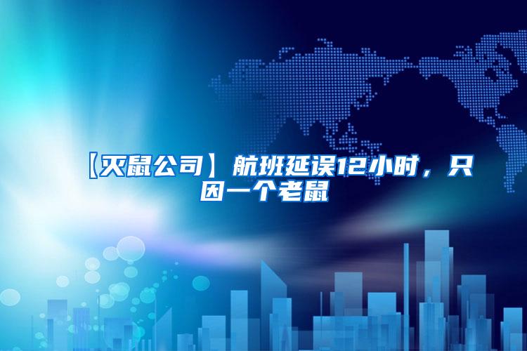 【滅鼠公司】航班延誤12小時，只因一個老鼠