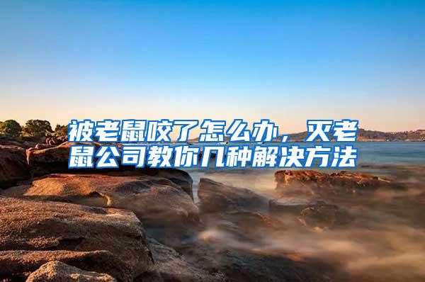 被老鼠咬了怎么辦，滅老鼠公司教你幾種解決方法