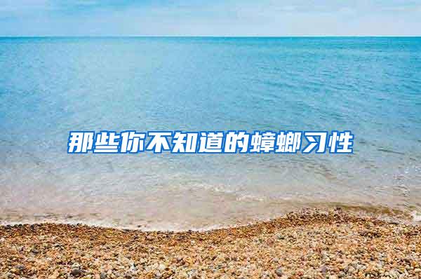 那些你不知道的蟑螂習性
