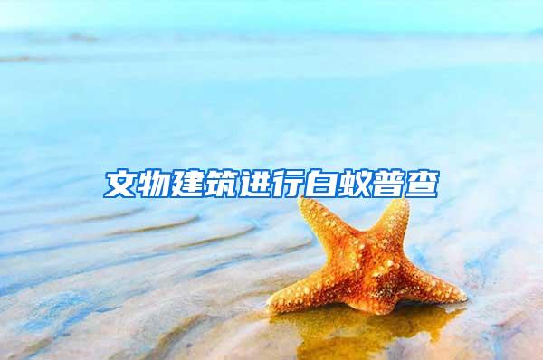 文物建筑進行白蟻普查