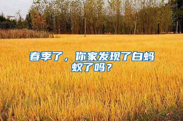 春季了，你家發(fā)現(xiàn)了白螞蟻了嗎？