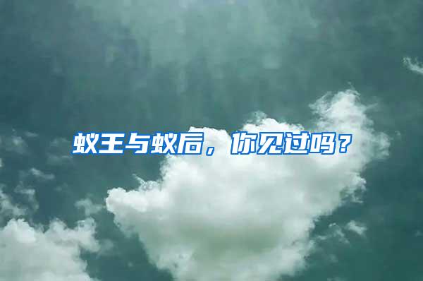 蟻王與蟻后，你見過嗎？