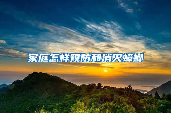 家庭怎樣預防和消滅蟑螂