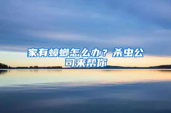 家有蟑螂怎么辦？殺蟲公司來幫你