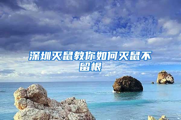 深圳滅鼠教你如何滅鼠不留根