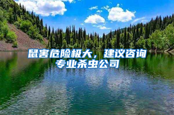 鼠害危險極大，建議咨詢專業(yè)殺蟲公司