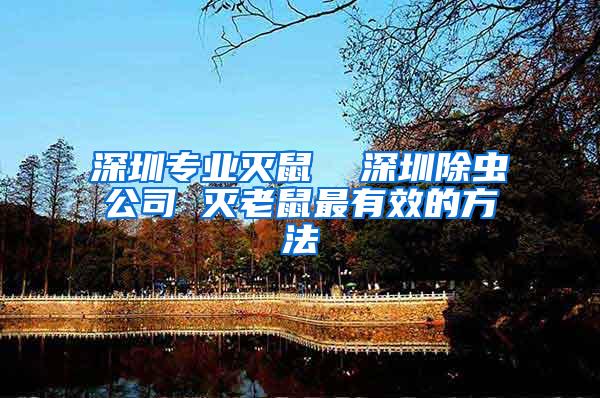深圳專業(yè)滅鼠  深圳除蟲(chóng)公司 滅老鼠最有效的方法