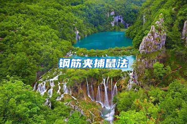 鋼筋夾捕鼠法