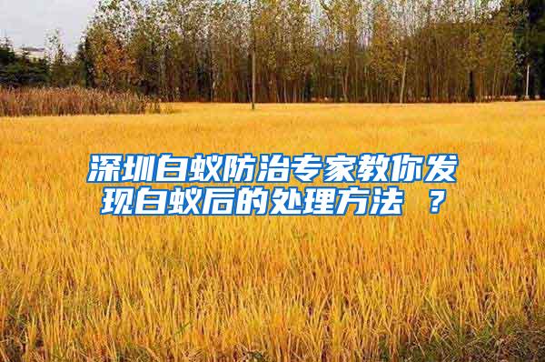 深圳白蟻防治專家教你發(fā)現(xiàn)白蟻后的處理方法 ？