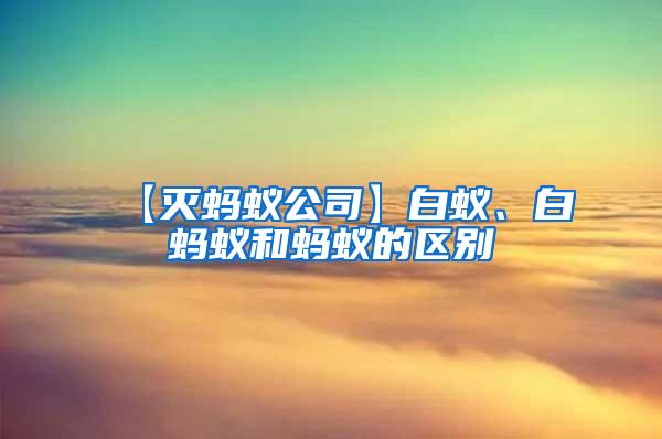 【滅螞蟻公司】白蟻、白螞蟻和螞蟻的區(qū)別