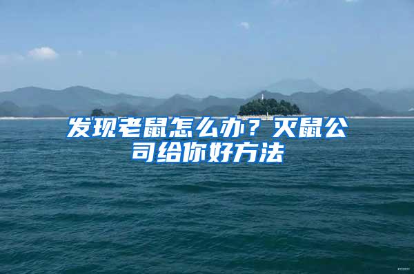 發現老鼠怎么辦？滅鼠公司給你好方法