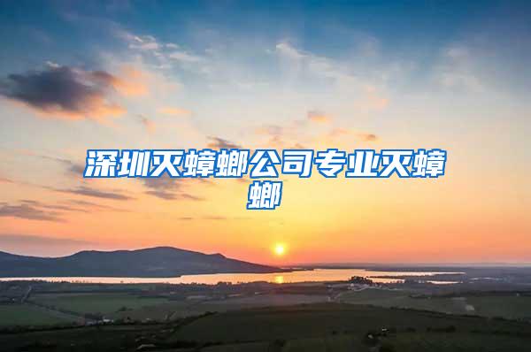 深圳滅蟑螂公司專業滅蟑螂