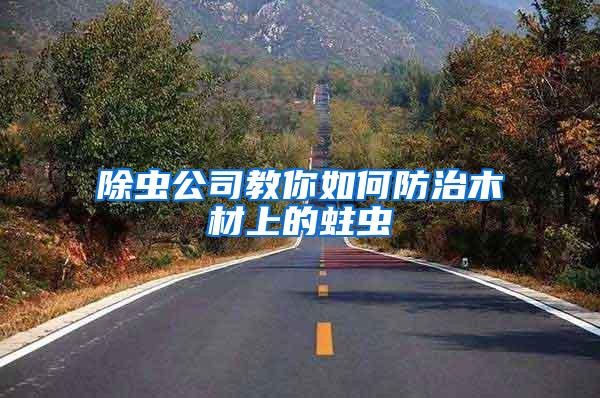 除蟲公司教你如何防治木材上的蛀蟲