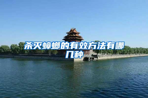 殺滅蟑螂的有效方法有哪幾種