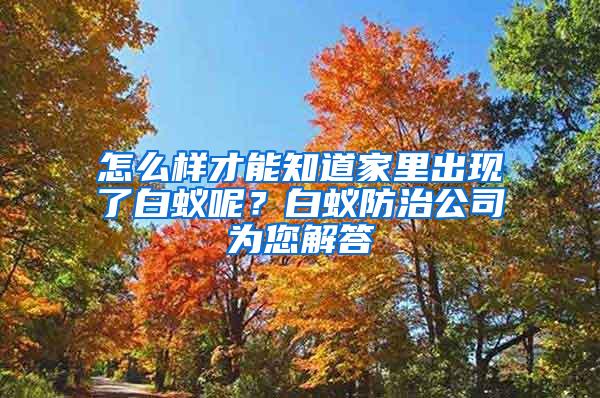 怎么樣才能知道家里出現(xiàn)了白蟻呢？白蟻防治公司為您解答