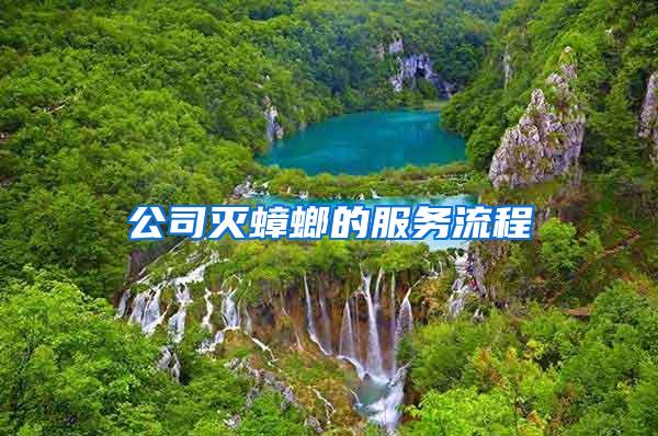 公司滅蟑螂的服務(wù)流程
