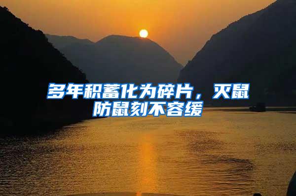 多年積蓄化為碎片，滅鼠防鼠刻不容緩