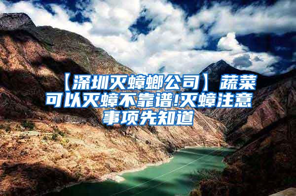 【深圳滅蟑螂公司】蔬菜可以滅蟑不靠譜!滅蟑注意事項先知道